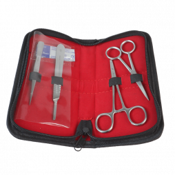 Dissecting Kit,  4 instruments.