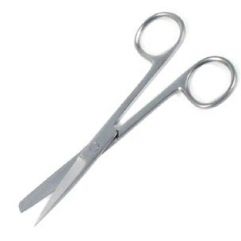 Scissors 13 cm sh/bl - Haines Educational