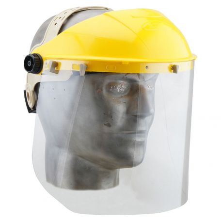 Safety shield - Haines Educational